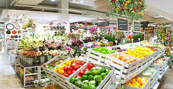 Index Living Mall, แสงสว่างในห้างสรรพสินค้า,  การใช้พลังงานอย่างมีประสิทธิภาพ