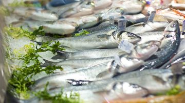 ประโยชน์ของปลา