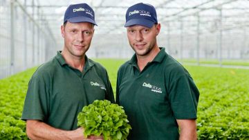 ผู้เพาะปลูก