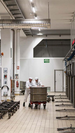 At Hero factory, these two men are working by the light of Philips food industry lighting