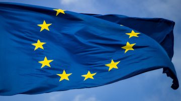 ต้นไม้ข้างตึกกระจก